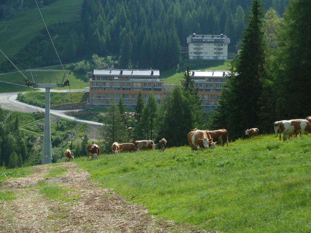 Appartementhaus Ckpk Sonnenalpe Nassfeld Eksteriør bilde